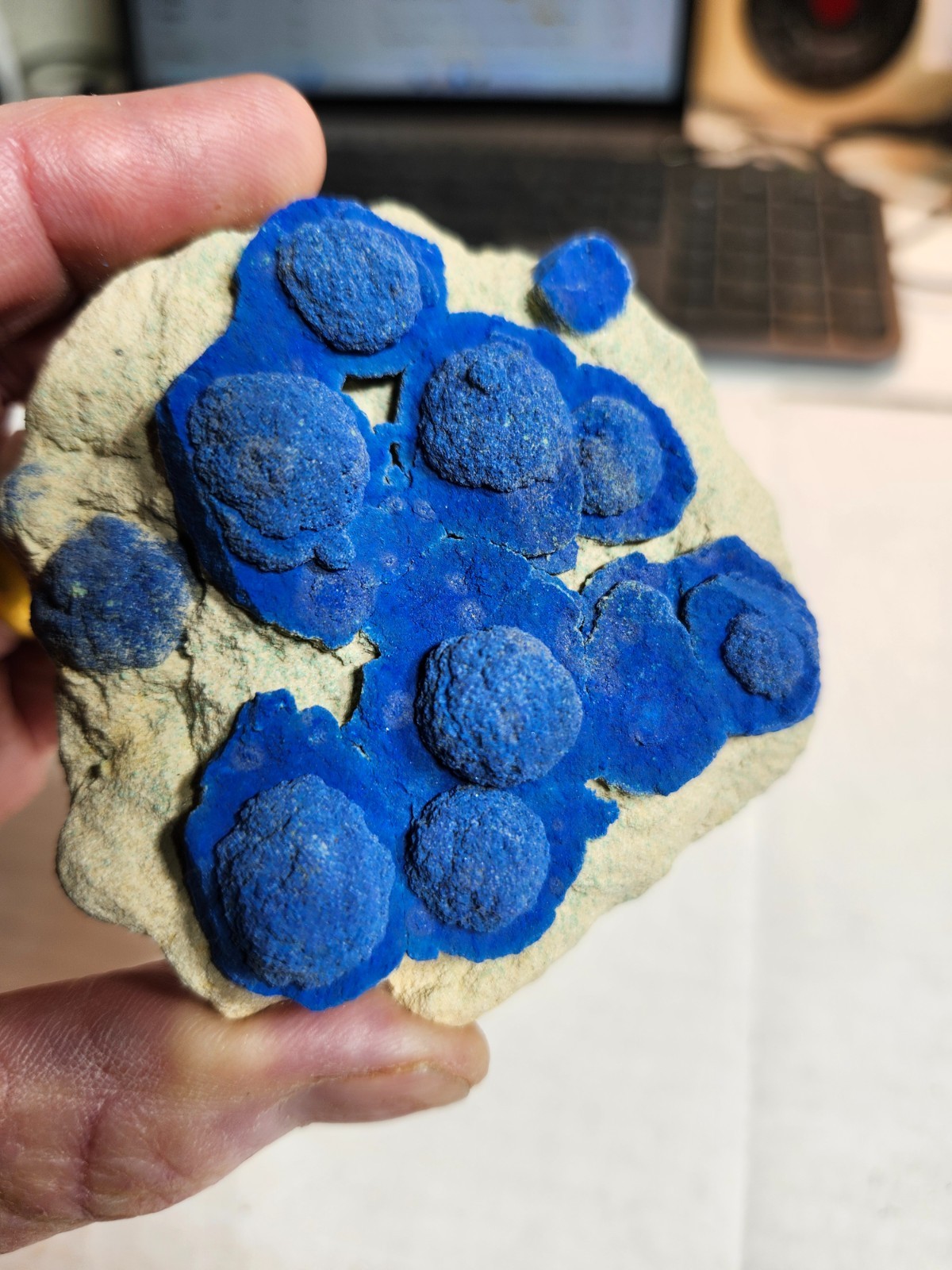 Azurite Florets, Lost Lake Claim, Nacimiento Mine, Cuba, New Mexico. Azurite Florets, Lost Lake Claim, Nacimiento Mine, Cuba, New Mexico.