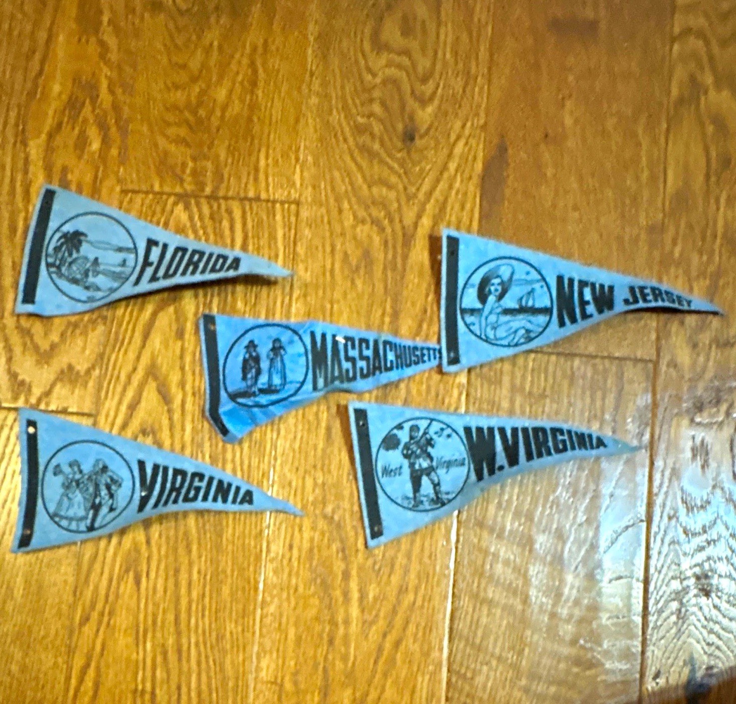 Vintage State Souvenir Pennants Lot of 5 Florida NJ MA VA West Virginia