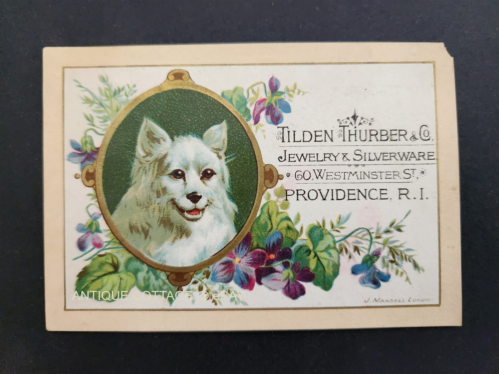 1880 antique TILDEN THURBER & Co providence ri JEWELRY SILVERWARE trade card DOG 1880 antique TILDEN THURBER & Co providence ri JEWELRY SILVERWARE trade card DOG