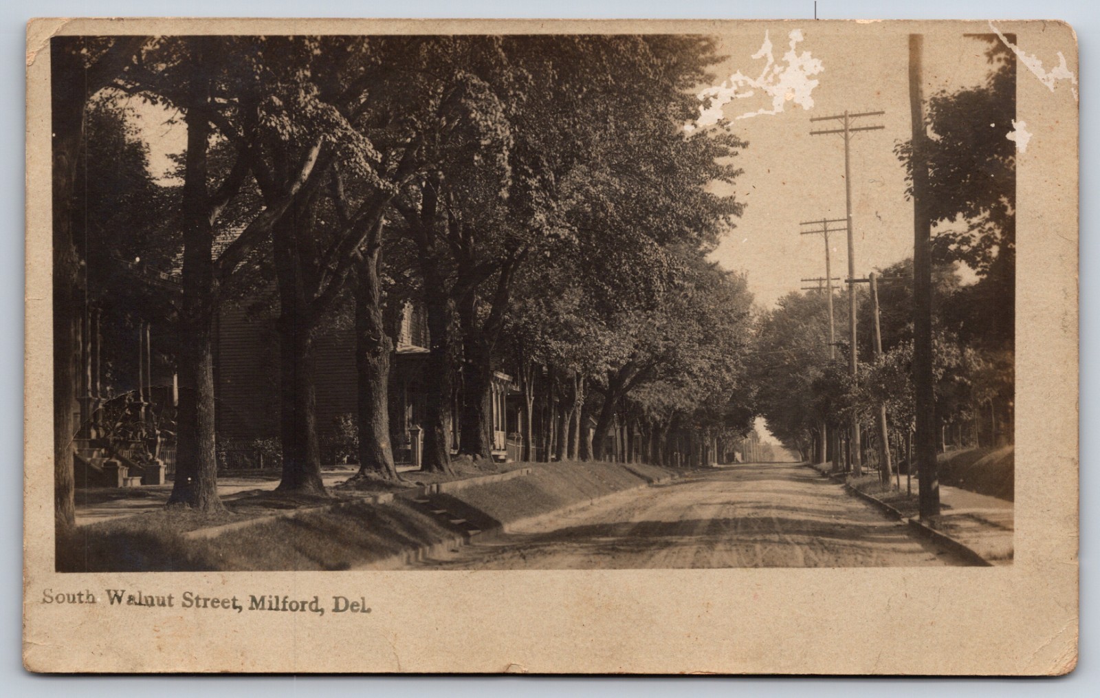 South Walnut Street Milford Delaware DE 1904 Real Photo RPPC