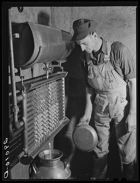 Photo:Osage Farms Missouri 1939 Milk Refrigeration Farm Worker Dairy