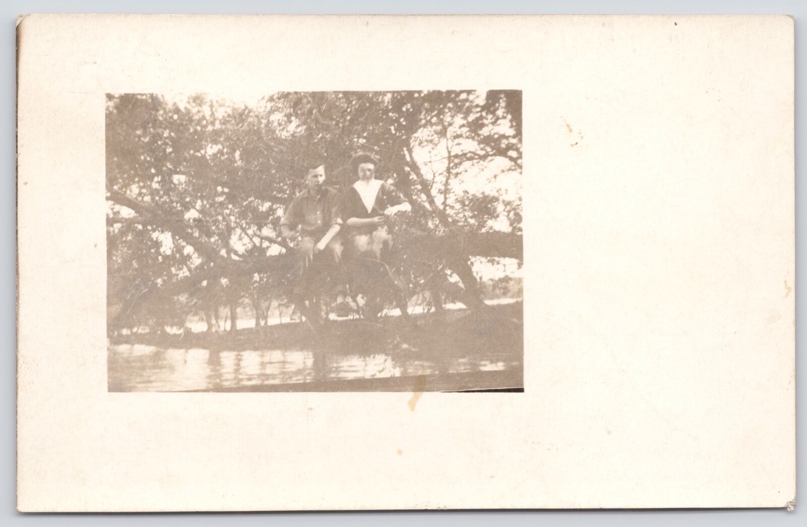 Postcard RPPC Young Couple Sitting in a Tree circa 1910
