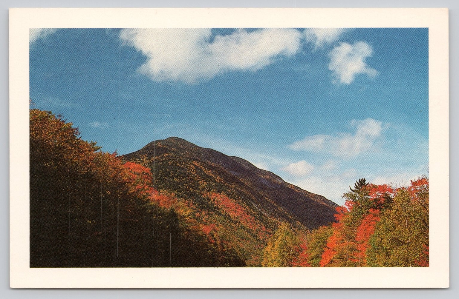 Mount Willey White Mountains NH Autumn Foliage Postcard Rivendell Art Photo Mount Willey White Mountains NH Autumn Foliage Postcard Rivendell Art Photo