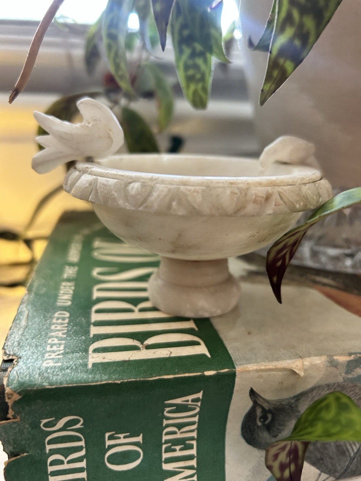 Antique Italian Alabaster Bird Bath Tazza 3.5\ Antique Italian Alabaster Bird Bath Tazza 3.5\