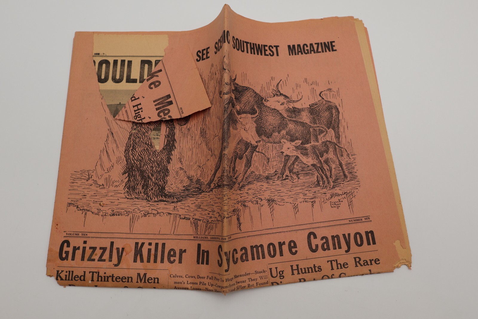 1938 GRIZZLY KILLER SYCAMORE CANYON NEWSPAPER
