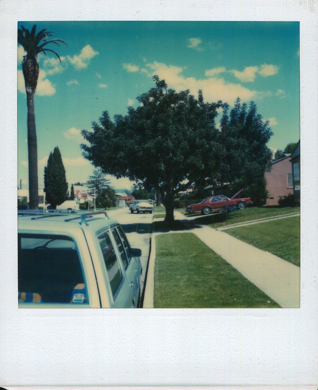 Old Vintage Photo COLOR POLAROID STREET SCENE PALM TREE STATION WAGON HOUSES