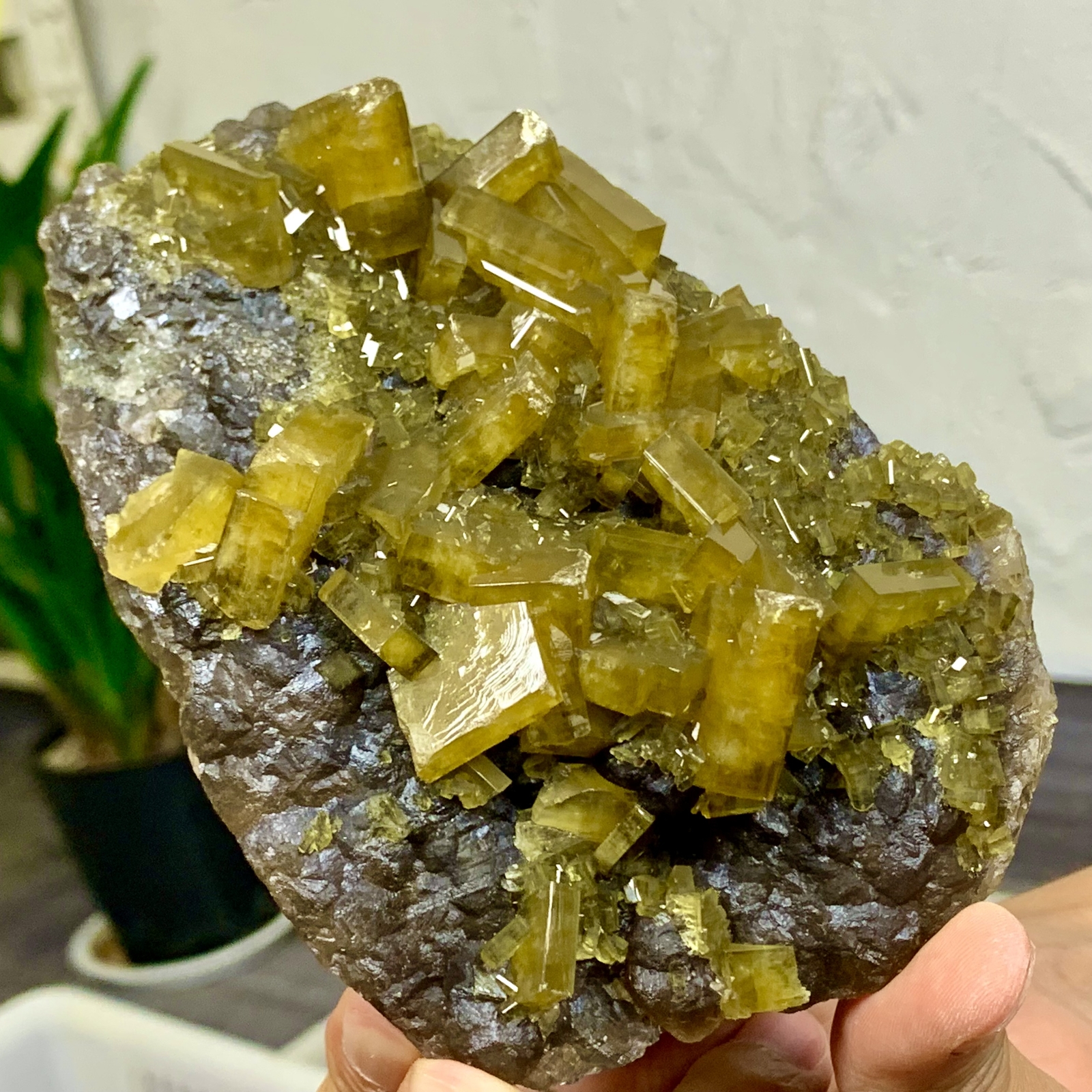 2.09LB Natural