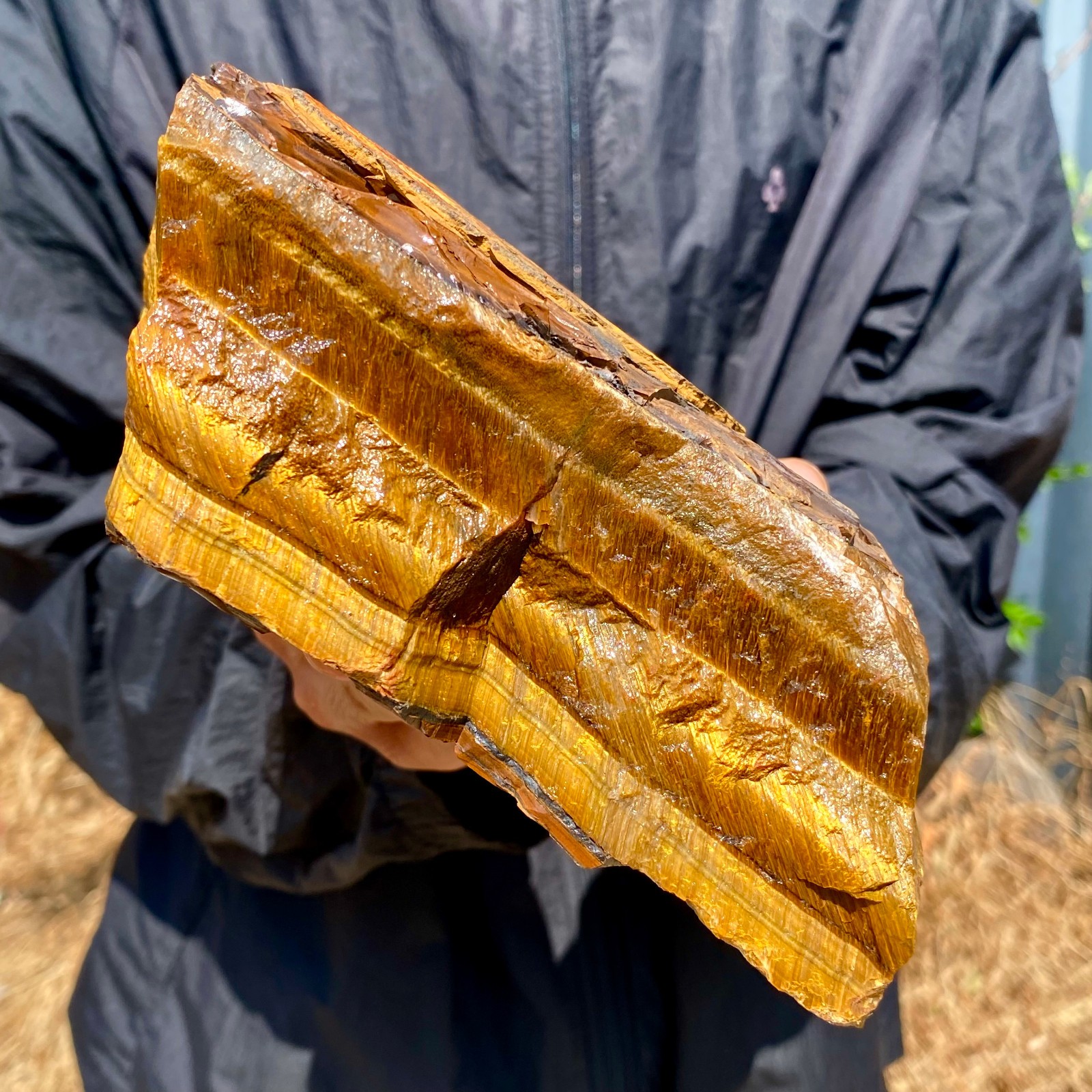 5.07LB Natural tiger's Eye rough raw stone rock specimrn madagescar