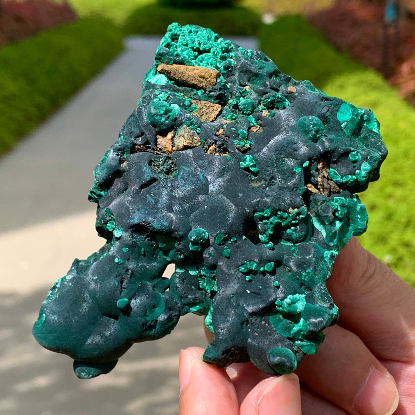 166G Natural glossy malachite cat eye transparent cluster rough mineral Sample