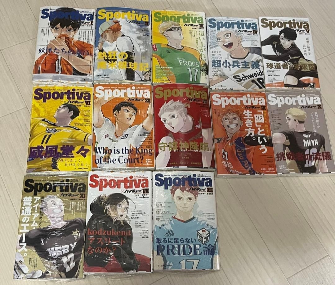 Haikyuu Sportiva Limited Novel Version Complete set 13 / Book Only / NEW JAPAN