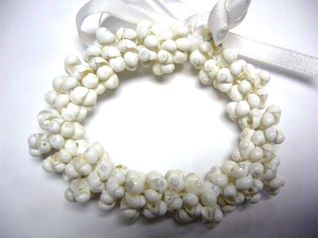 Hawaii Wedding Graduation Mongo Shell Luau Hula Jewelry Bracelet ( QTY 2 ) 24048