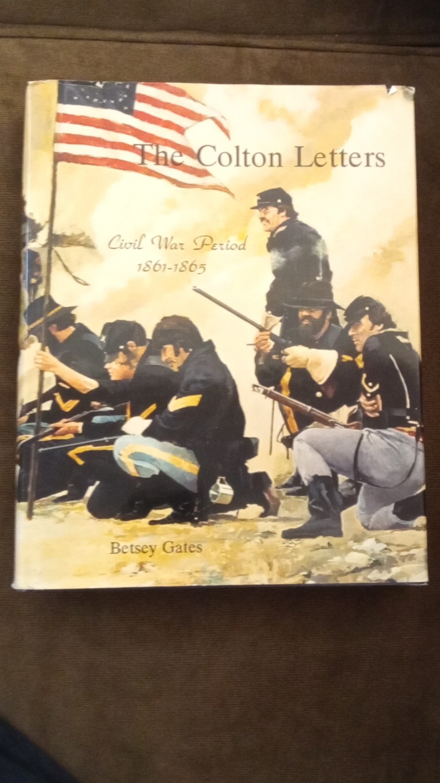 The Colton Letters Betsey Gates Original Civil War 1861-65 Militaria Hardcover