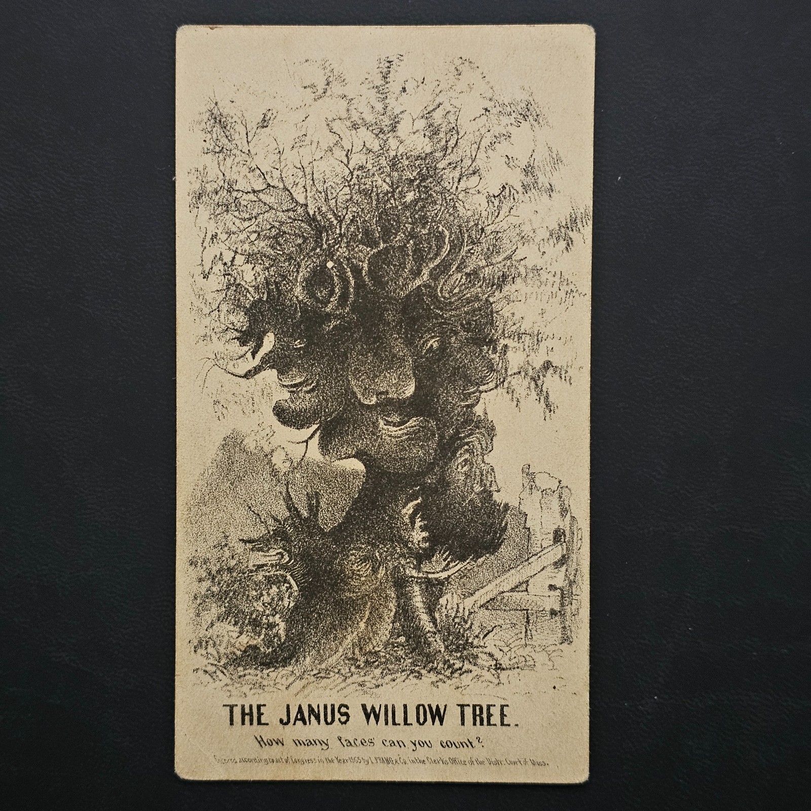 1865 W47 L. PRANG & CO - THE JANUS WILLOW TREE - MAGIC CARD - CIVIL WAR ERA RARE