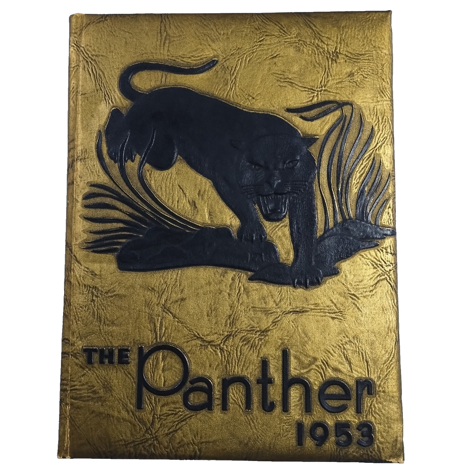 The Panther 1953 Yearbook Bennett High School Chatham County NC RARE Defunct