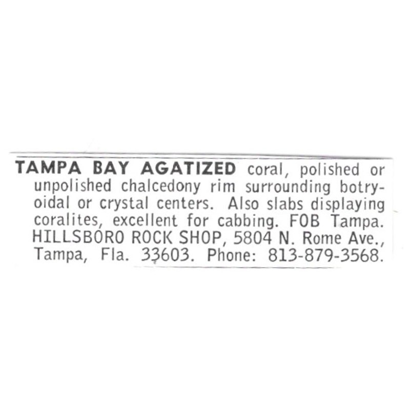 Hillsboro Rock Shop Tampa Bay Agate Tampa FL 1972 Ad AF8-S13