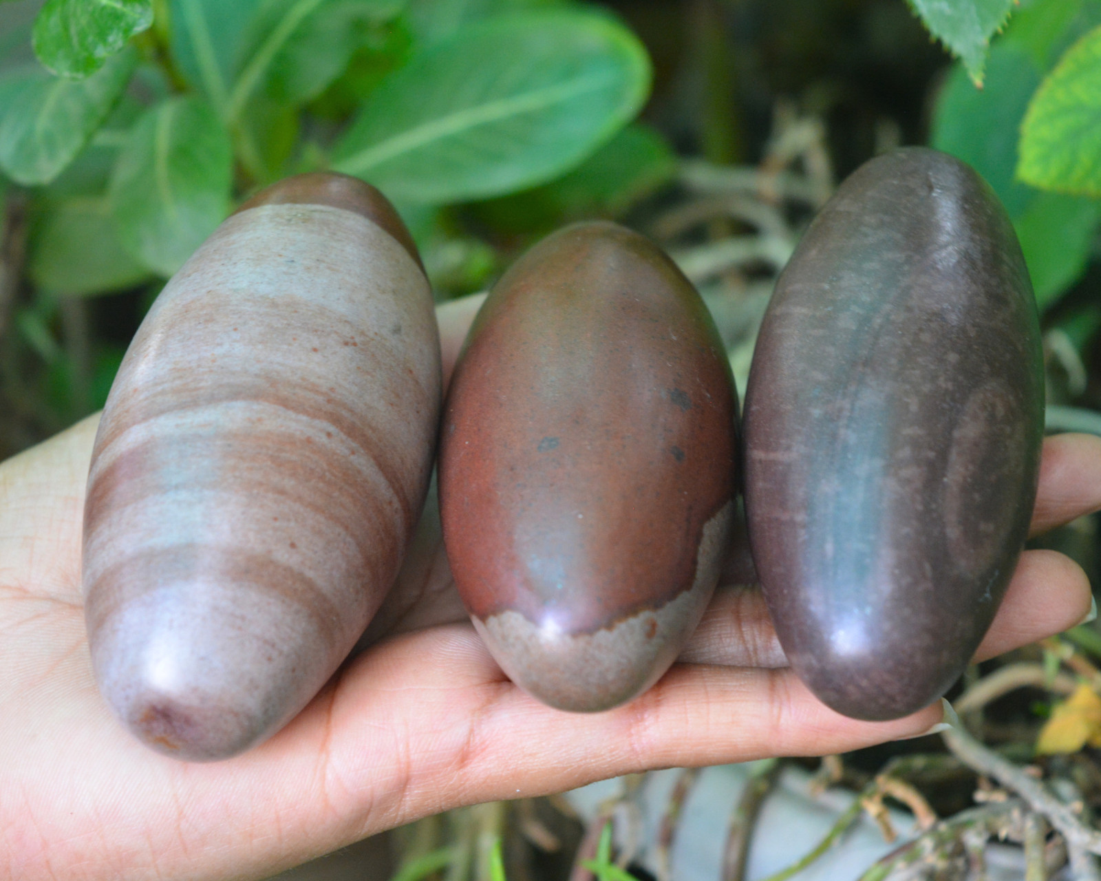 Original/Narmada shivling Original for Elongated Egg Narmadeshwar Shivling-723 Original/Narmada shivling Original for Elongated Egg Narmadeshwar Shivling-723