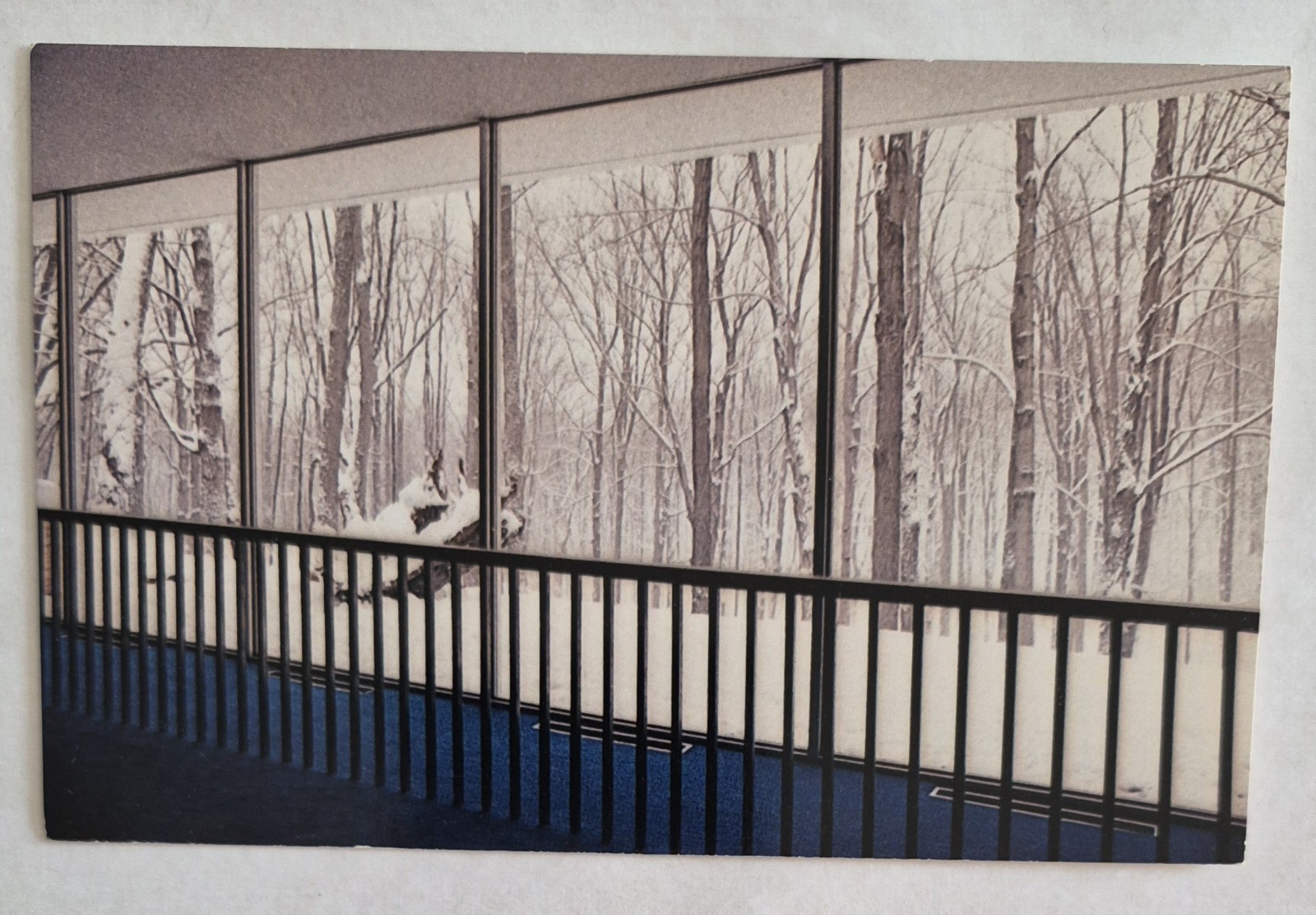 Postcard....Glen Vista in Winter at the Kalamazoo Nature Center in Michigan