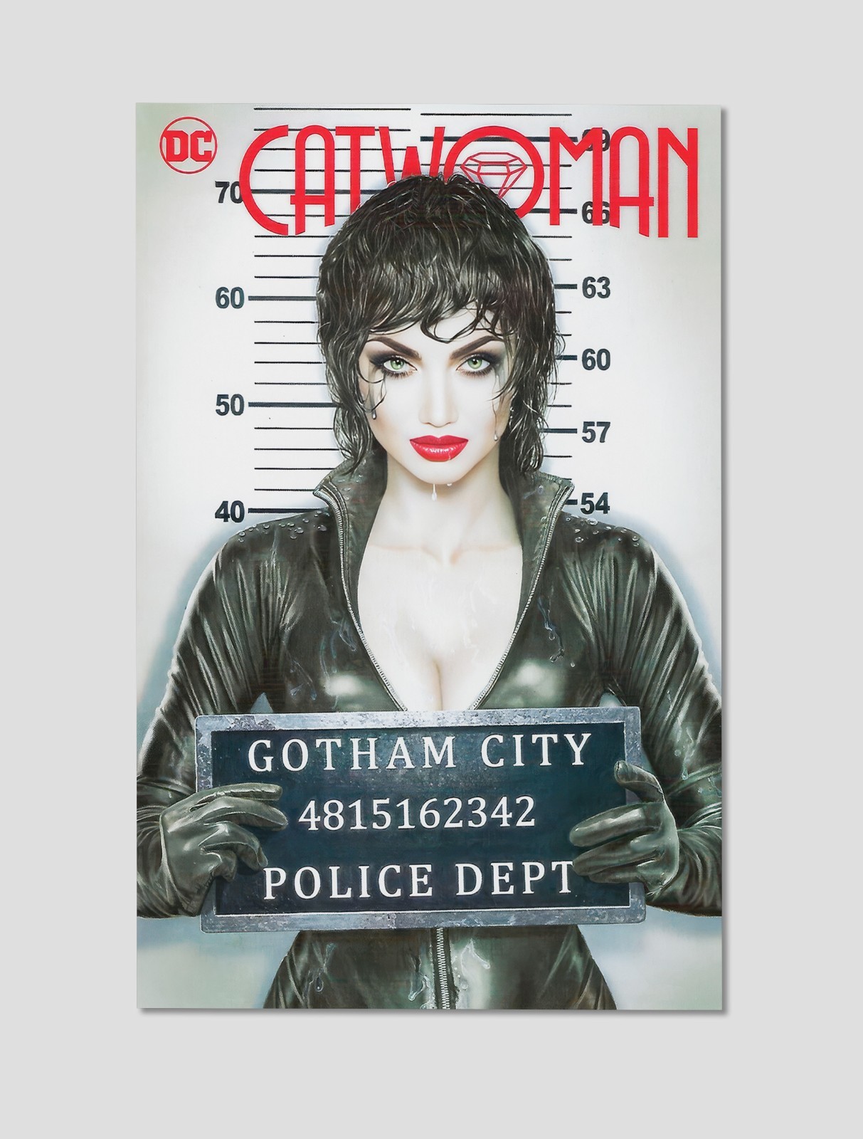 Catwoman Print DC Poster Batman Mugshot Premium Giclee Wall Art 11 x 17