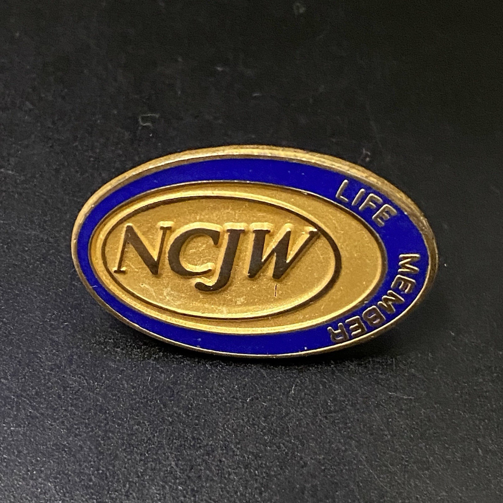 Vtg NCJW National Council of Jewish Women Life Member Lapel Pin 
