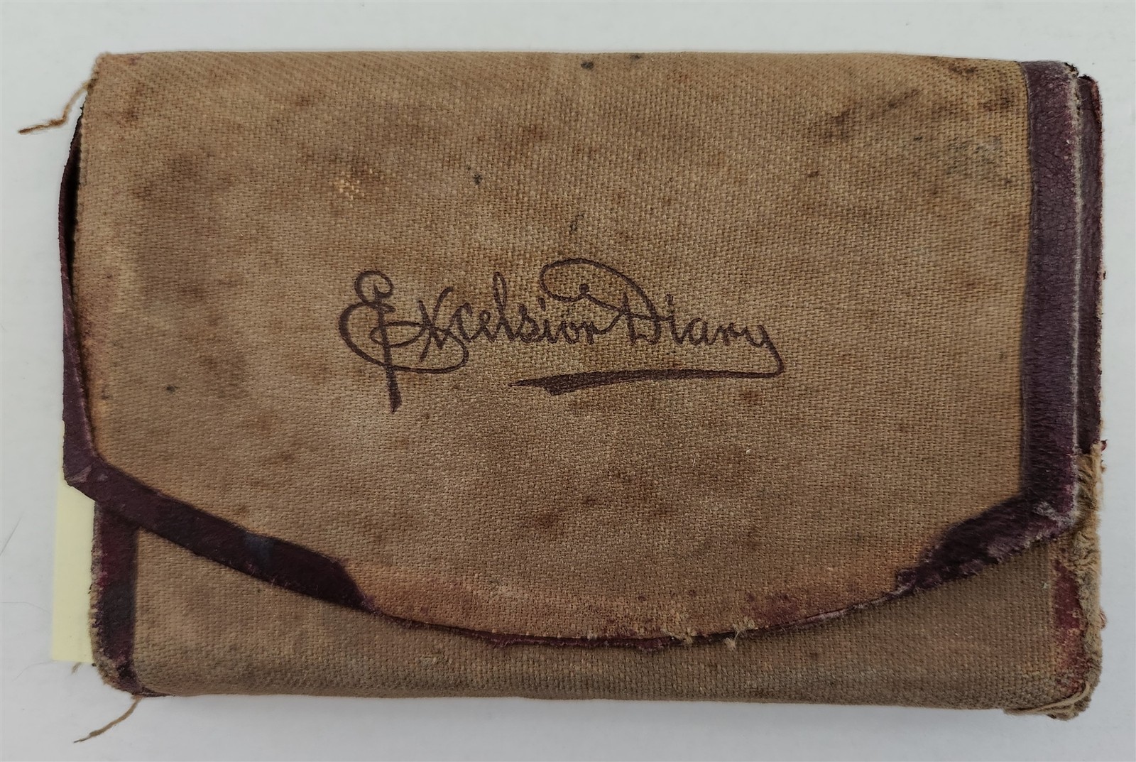 1890 antique DIARY long creek il FA SITES farmer full carmean johnie davis death