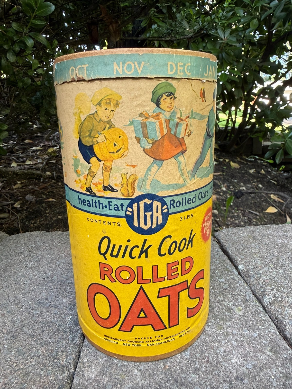 Vintage IGA Rolled Oats Cardboard Container