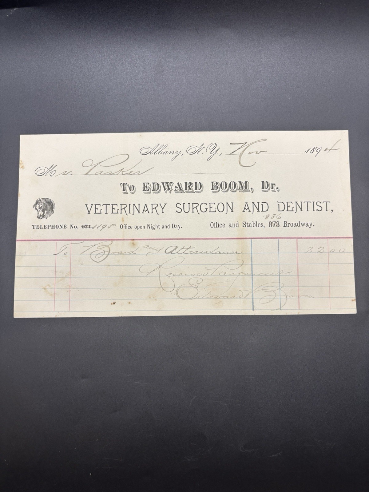 1894 Edward Boom Veterinary Surgeon Dentist Albany NY Billhead Horse Receipt