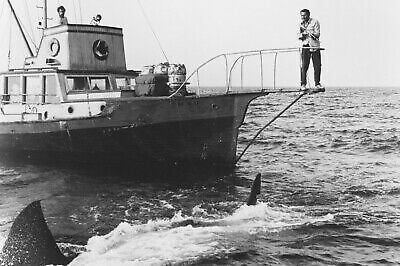 JAWS B&W 24X36 POSTER PRINT ROBERT SHAW SHOOTING SHARK
