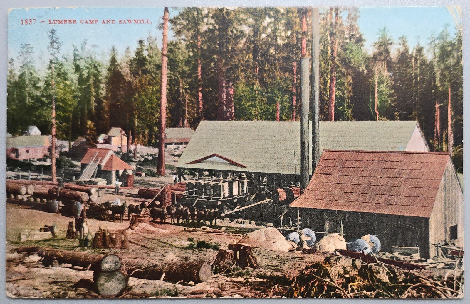 1909 Lumber Camp & Sawmill Logging Postcard Everett WA July 19 Cancel