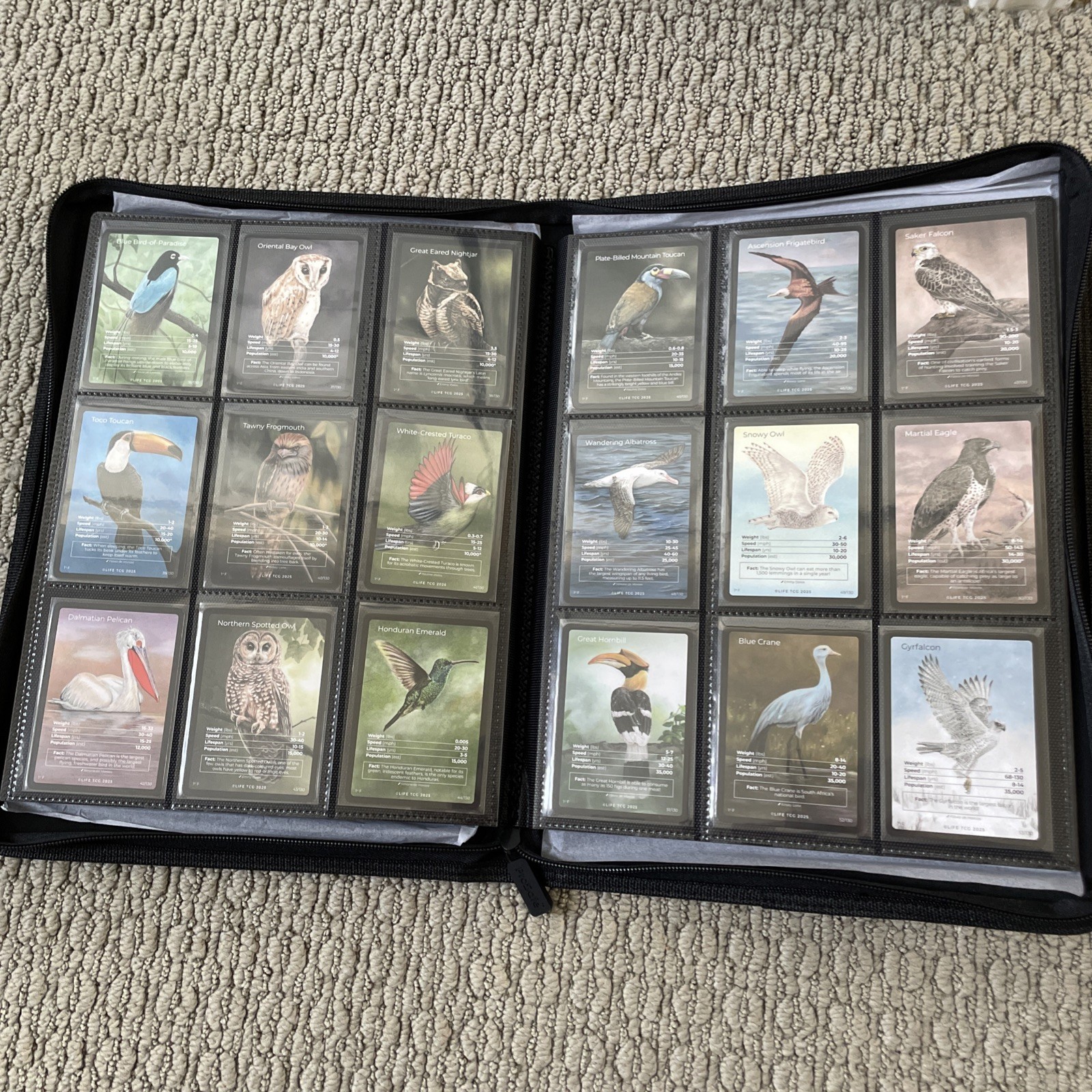 Life TCG Birds Complete Intermediate Set - Includes All Pop 1K and Higher Cards