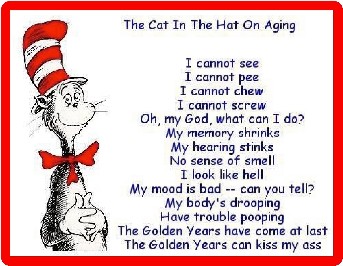 The Cat In The Hat On Aging Refrigerator Magnet The Cat In The Hat On Aging Refrigerator Magnet