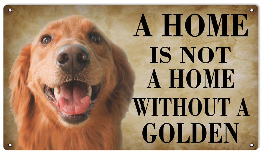 A HOME IS NOT A HOME WITHOUT A GOLDEN 14 A HOME IS NOT A HOME WITHOUT A GOLDEN 14