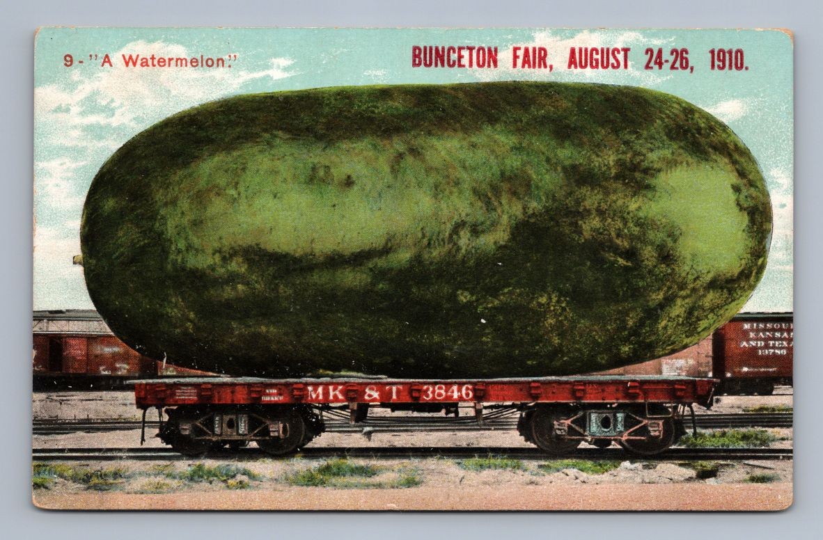 Giant Watermelon BUNCETON Missouri Fair Antique Exaggeration Postcard 1910