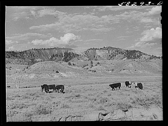 Birney Lame Deer Montana 1930s Grazing Land Cattle Ranching Landscape