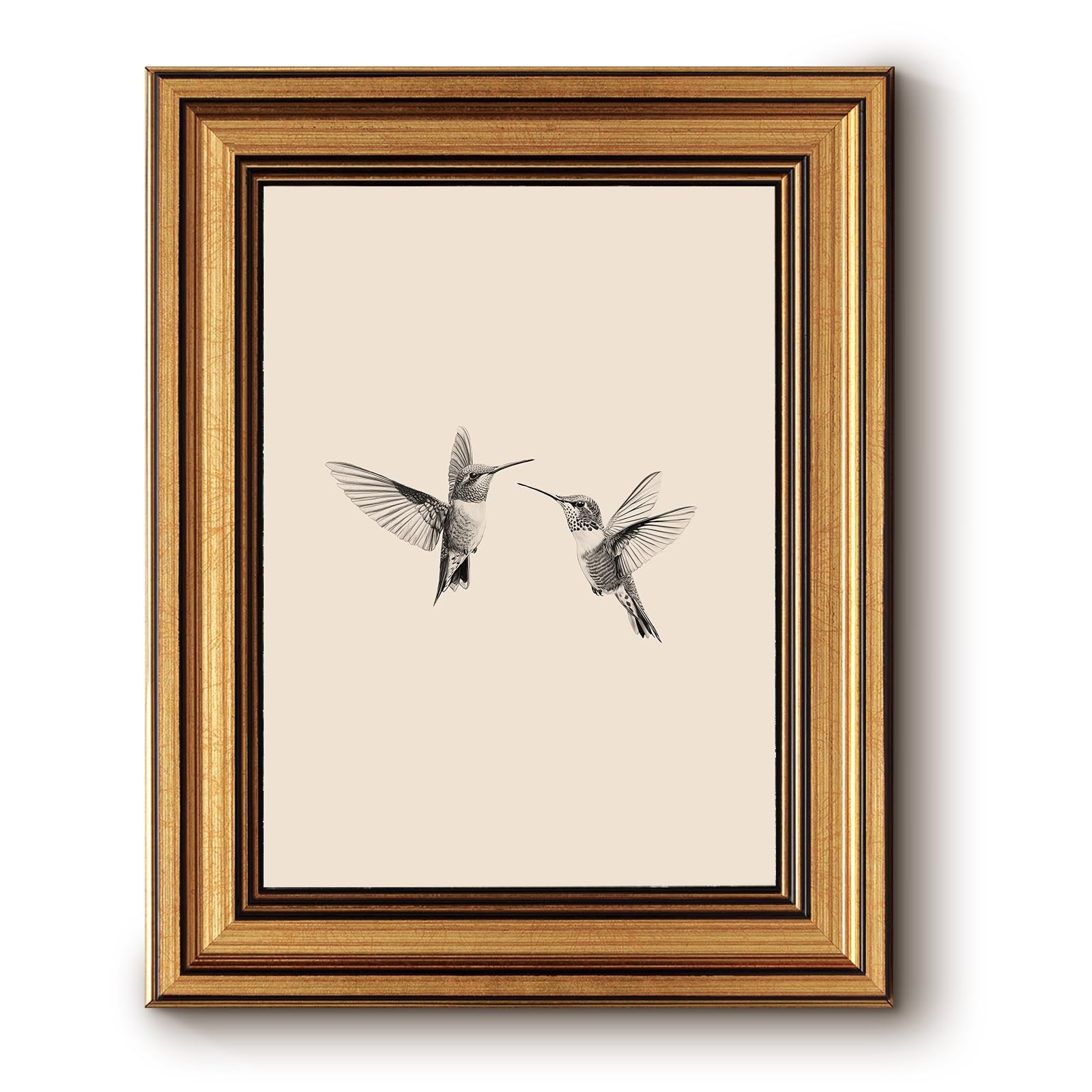 InSimSea Gold Framed Wall Art,Vintage Two Hummingbirds Sketch Prints,8x10In