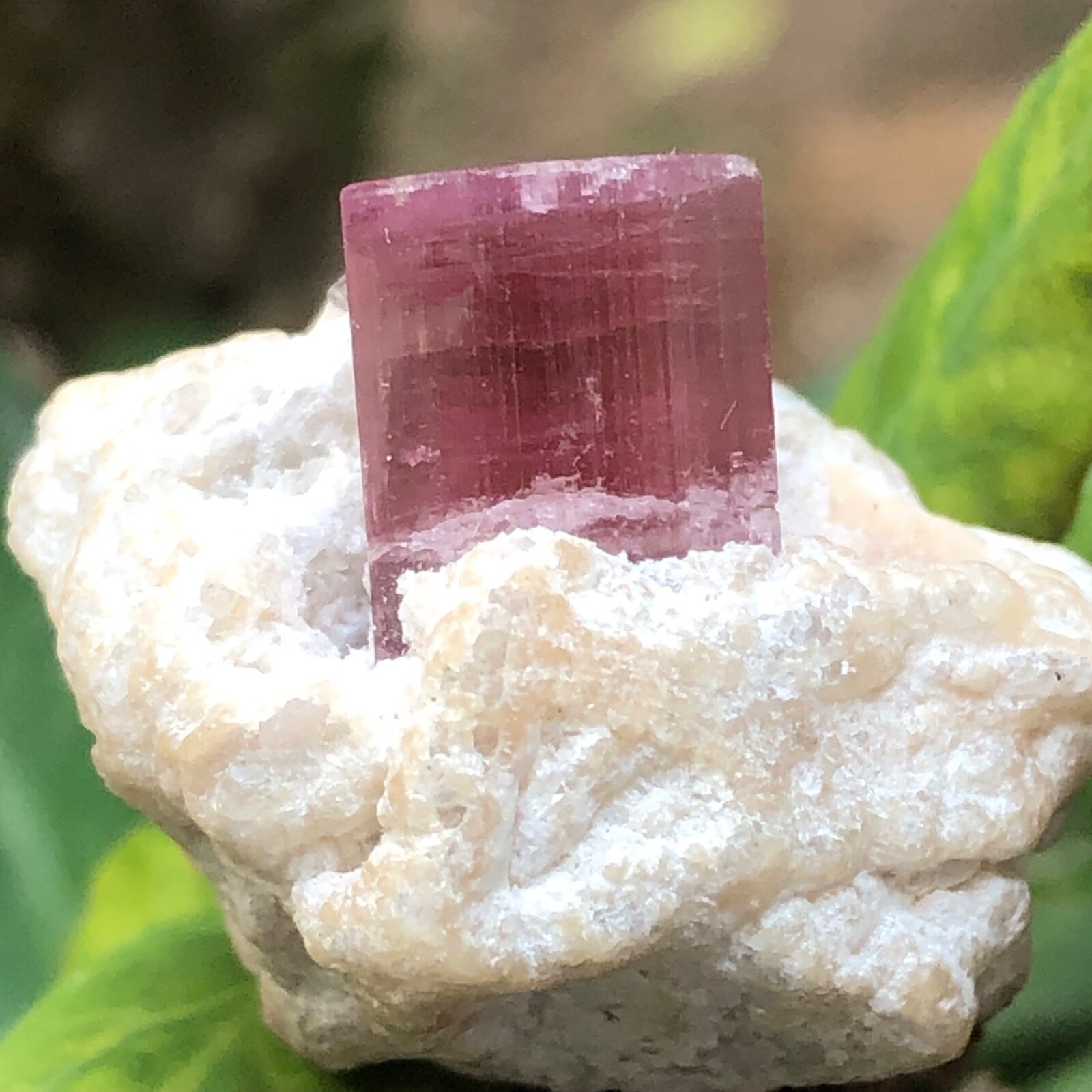 Rare Pink Natural Tourmaline Crystal Specimen on Feldspar/Albite Matrix, 13.07 g