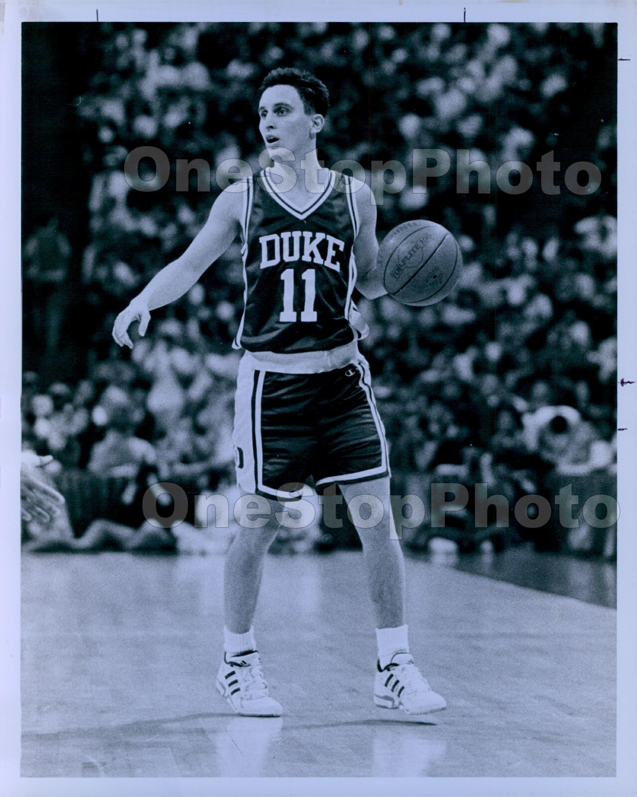 1993 Bobby Hurley Duke Univeristy Basketball Guard Press Photo 1993 Bobby Hurley Duke Univeristy Basketball Guard Press Photo