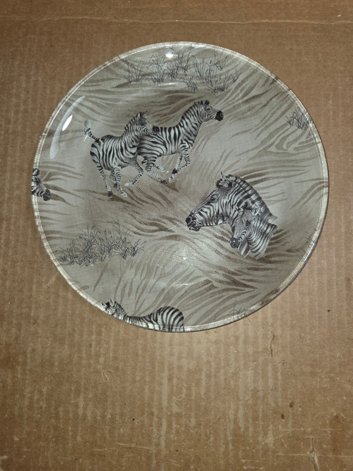 Plate 10\