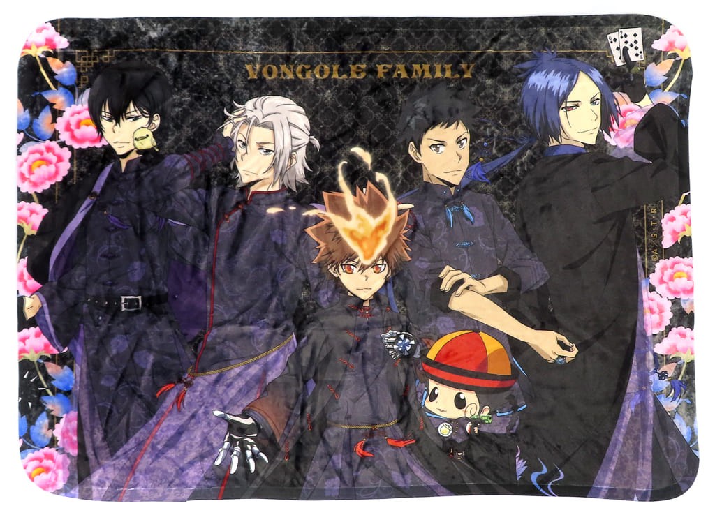 Katekyo Hitman Reborn Vongola 10th Family Blanket Used