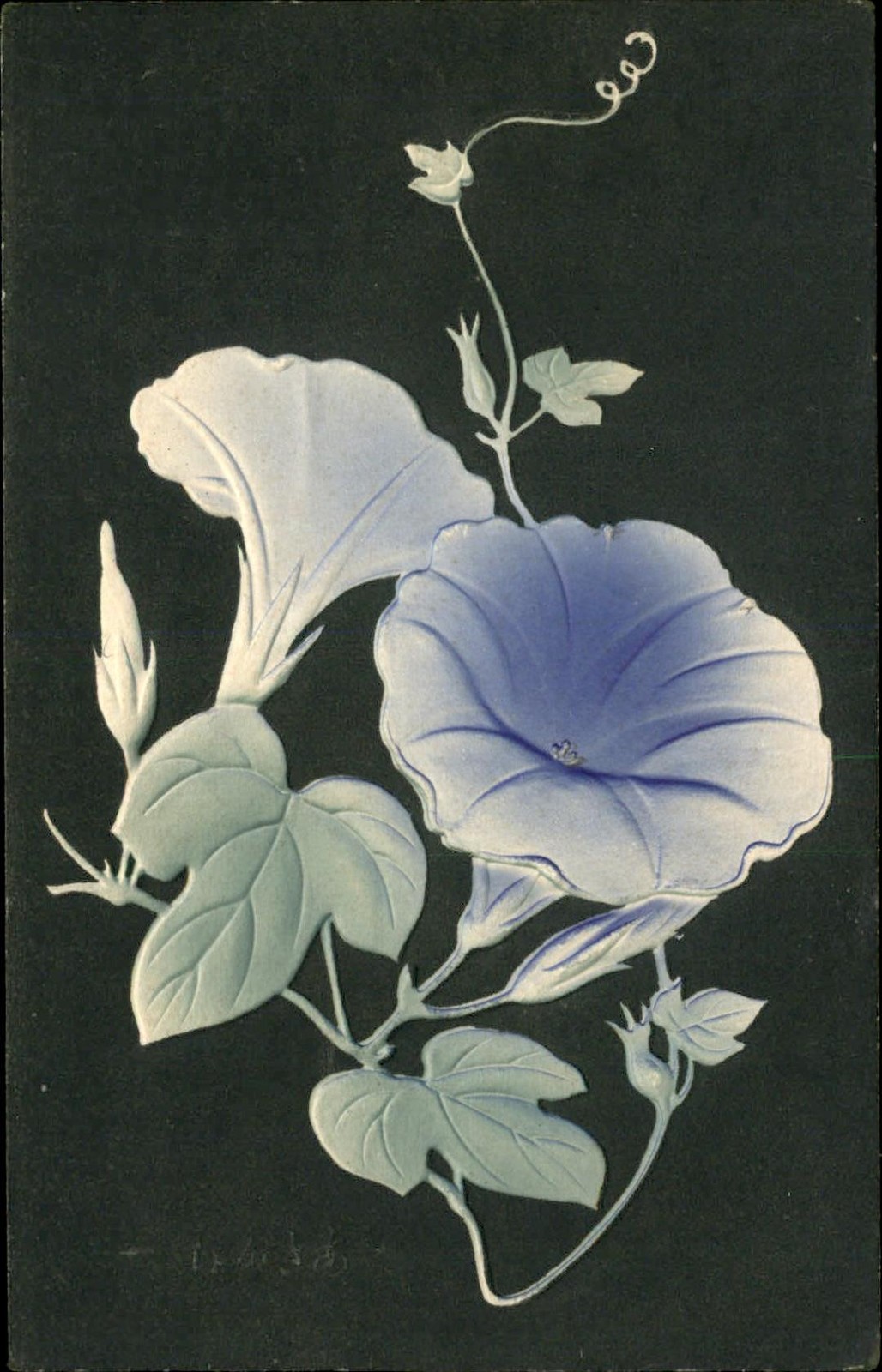 Beautiful Flowers & Leaves JAPANESE BACKSIDE Airbrushed Embossed c1910 Postcard