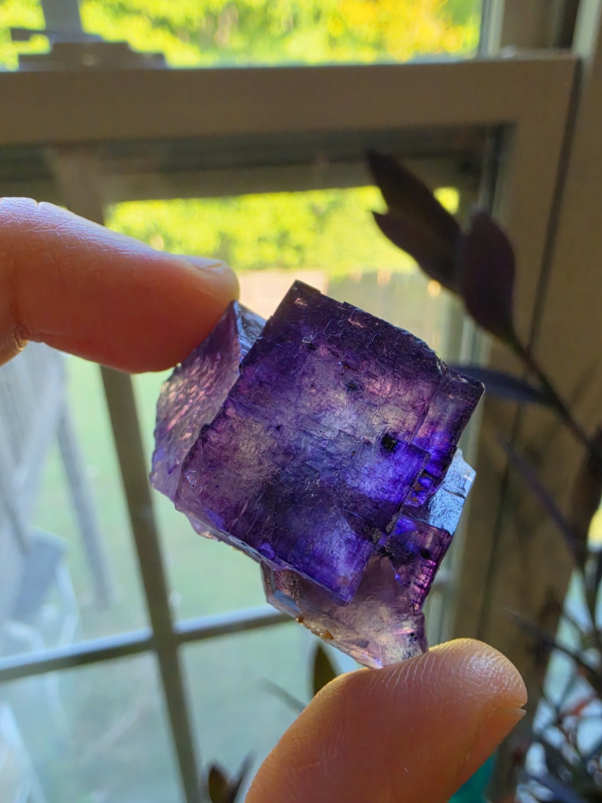 **RARE Find** Quality Purple Fluorite Specimen. Elmwood Mine, Tenn. **RARE Find** Quality Purple Fluorite Specimen. Elmwood Mine, Tenn.