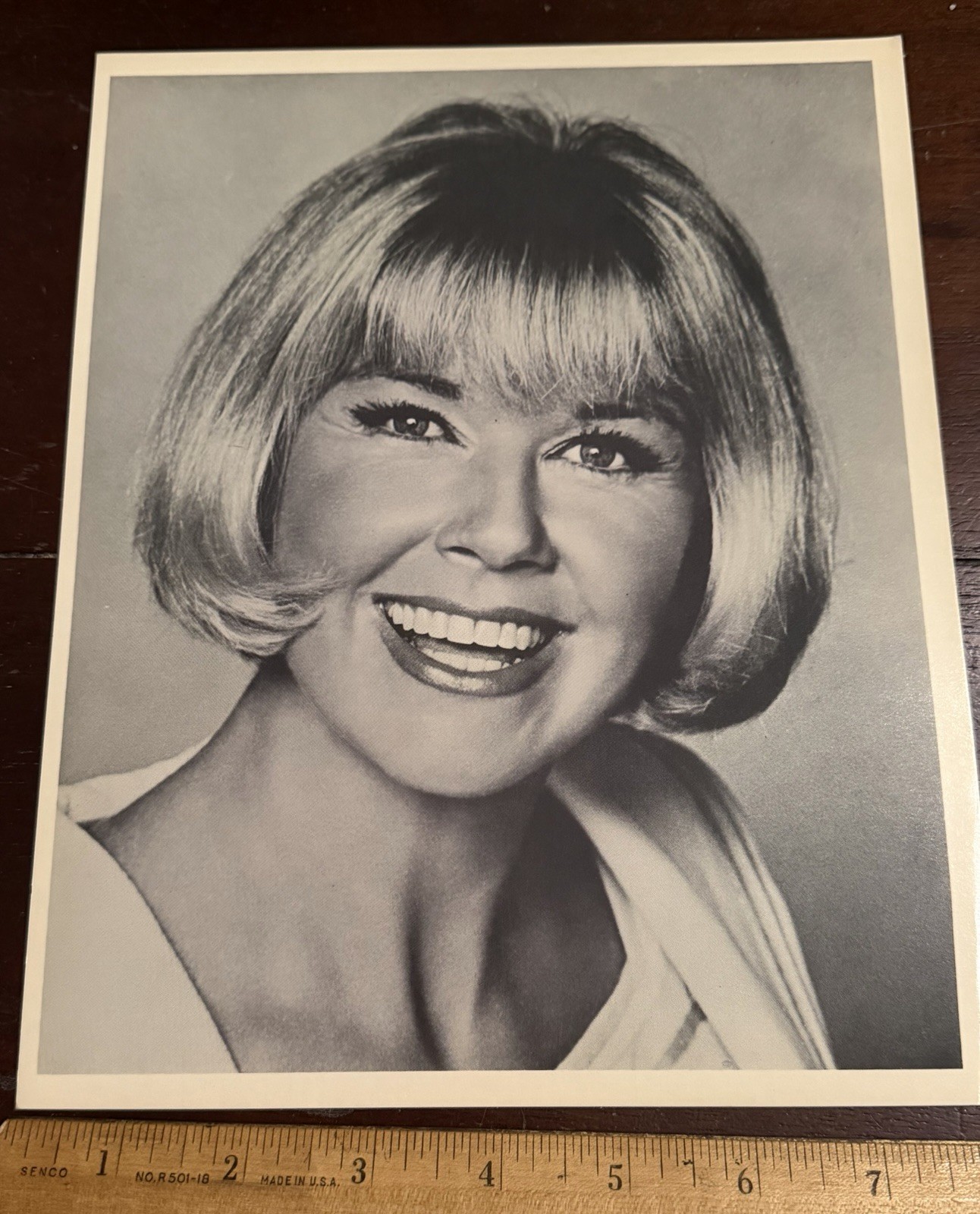 Vintage Promo Photo Doris Day  Press  8 x 10 in