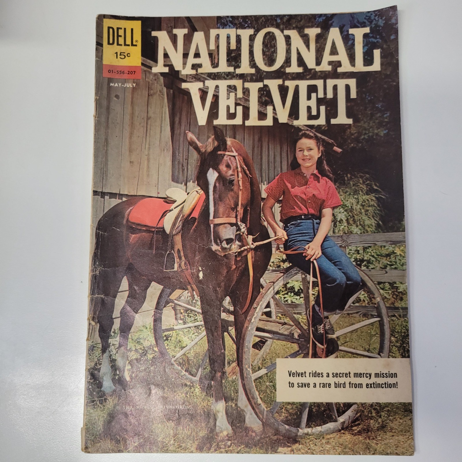 National Velvet Dell Comic May-July 1962 Lori Martin Horse No. 01-556-207