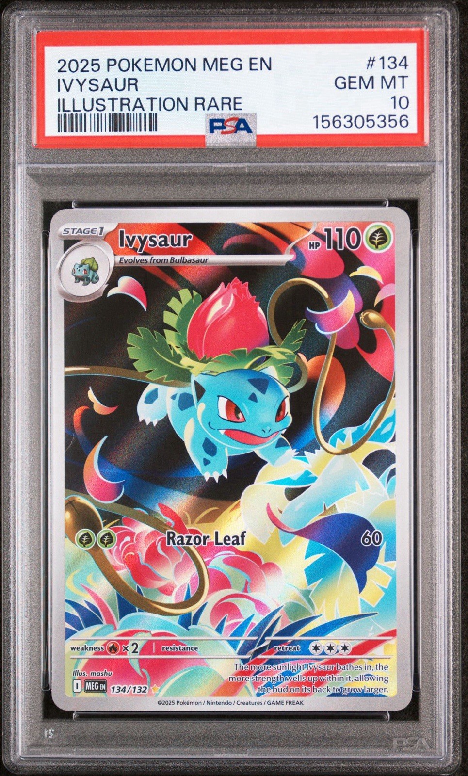 Pokemon Ivysaur Full Art 134 Mega Evolution IR PSA 10 Gem Mint