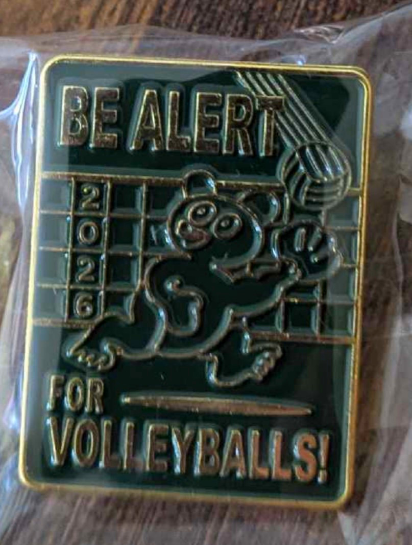 Big Ten SEC Wrigley Field Volleyball Pin Nebraska Missouri Penn State Kentucky 