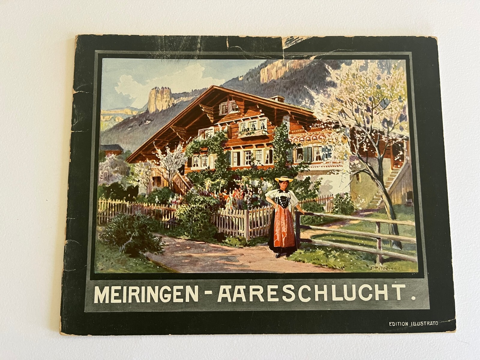 1900\'s MEIRINGEN SWISS ALPS Switzerland antique travel  Souvenir-Album views