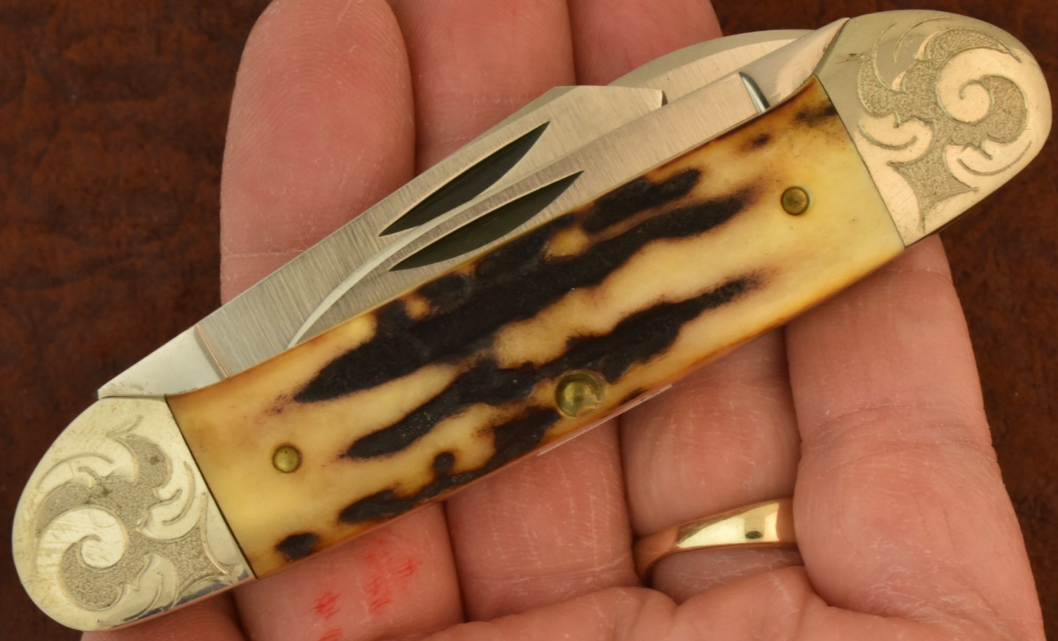 RARE MINT SET CASE XX USA 9 DOT 1981 STAG GUNBOAT CANOE KNIFE 53131 SS (36840)