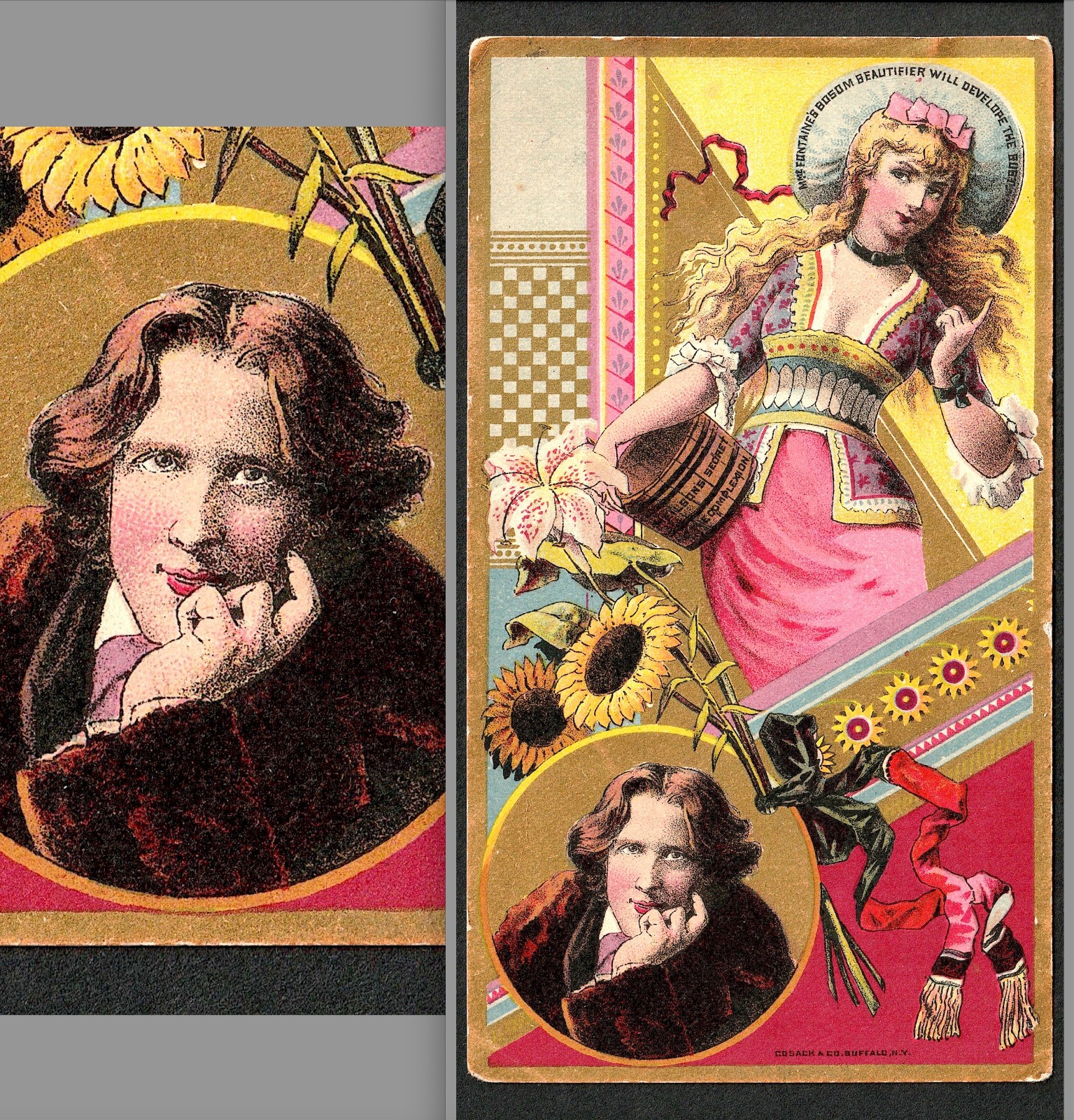 1880's Antique Oscar Wilde Gilbert & Sullivan Fontaine Bust Cure Trade Card j.US