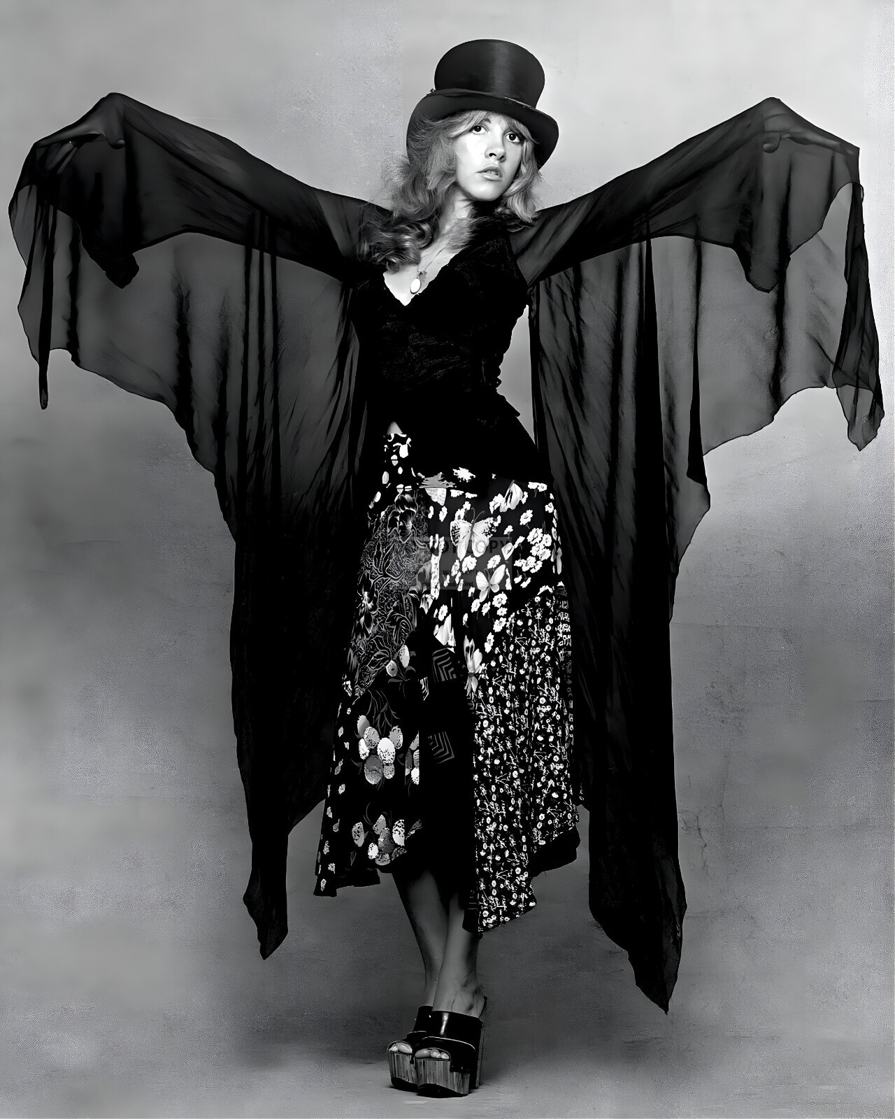 Stevie Nicks 8 x 10 Photograph Art Print Photo Picture