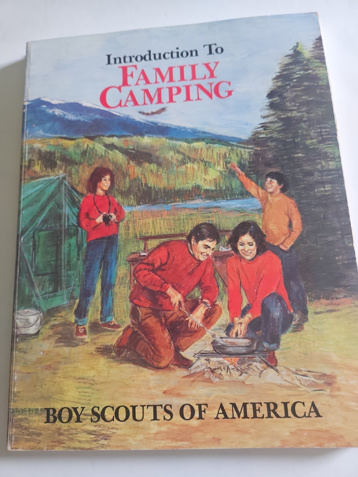 Boy Scout BSA Introduction to Family Camping 1984 Printing Backyard Ideas Book Boy Scout BSA Introduction to Family Camping 1984 Printing Backyard Ideas Book