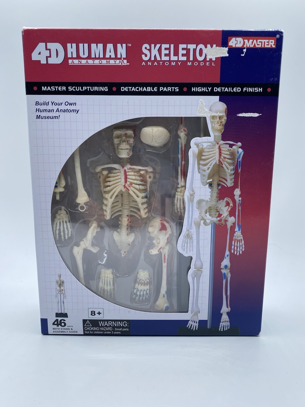 Tedco Toys 26059 4D Human Anatomy Skeleton Model Tedco Toys 26059 4D Human Anatomy Skeleton Model